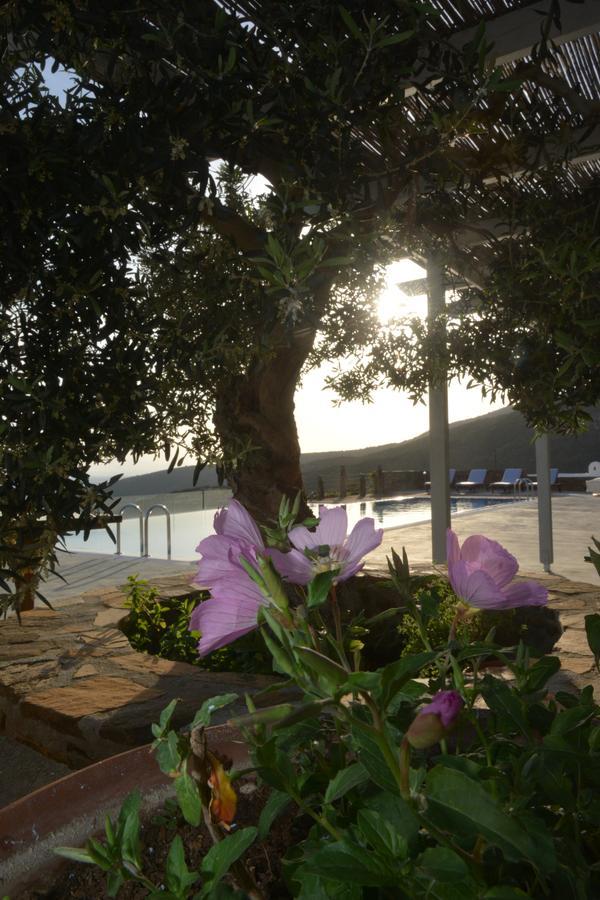 Celini Suites Hotel Marmari  Esterno foto